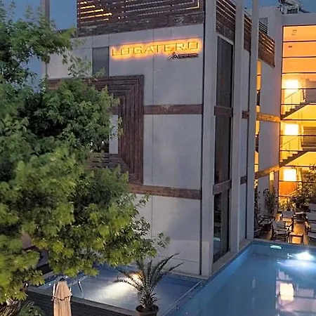酒店 洛伽特洛设计酒店 索佐波尔