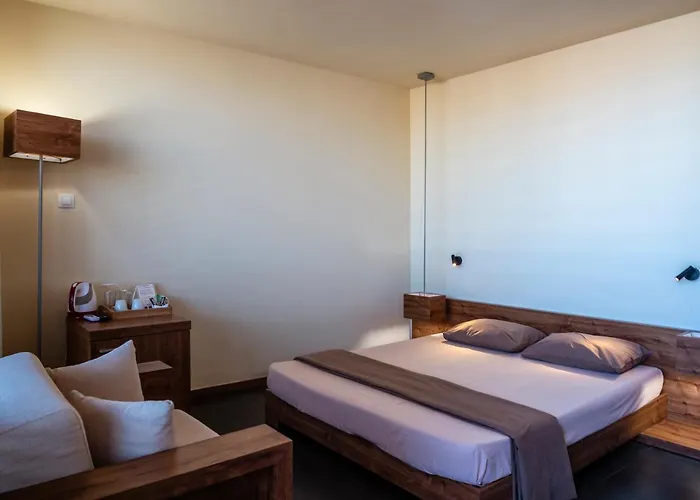 מלון Design Logatero 3*