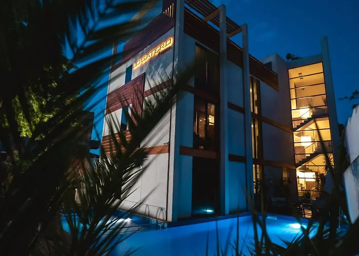 Design Logatero סוזופול